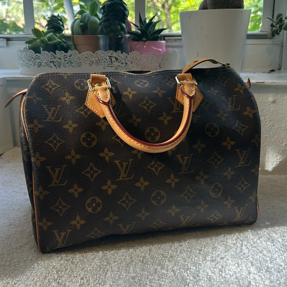 Louis Vuitton Speedy 30 Monogram